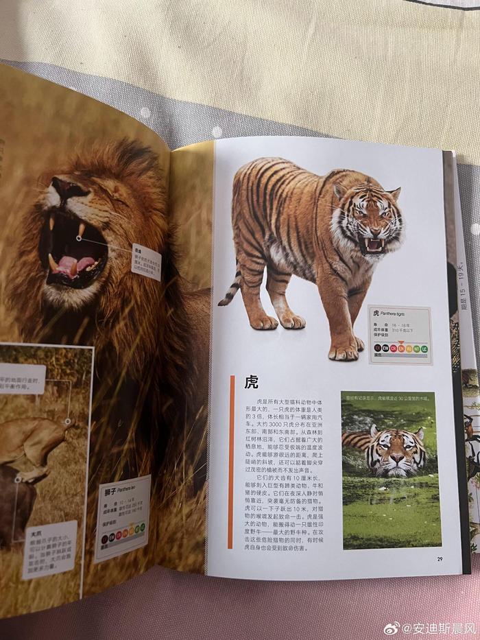动物志 新浪网