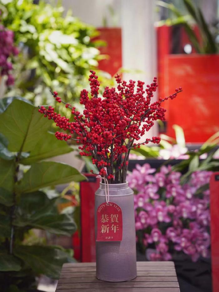 春节花卉的象征意义与文化传承