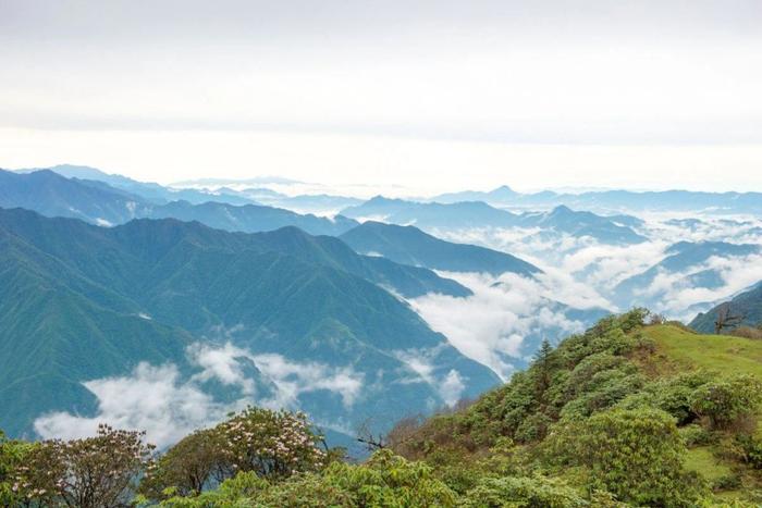 四川又一秘境小城，全国野生熊猫最多的地方，藏着多个低调仙境