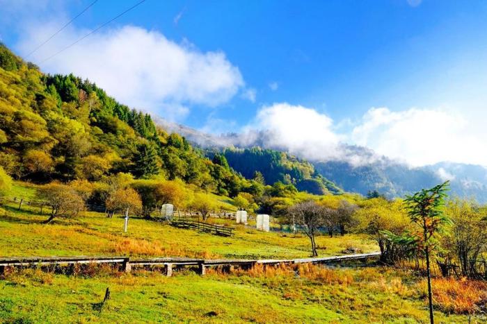 四川又一秘境小城，全国野生熊猫最多的地方，藏着多个低调仙境