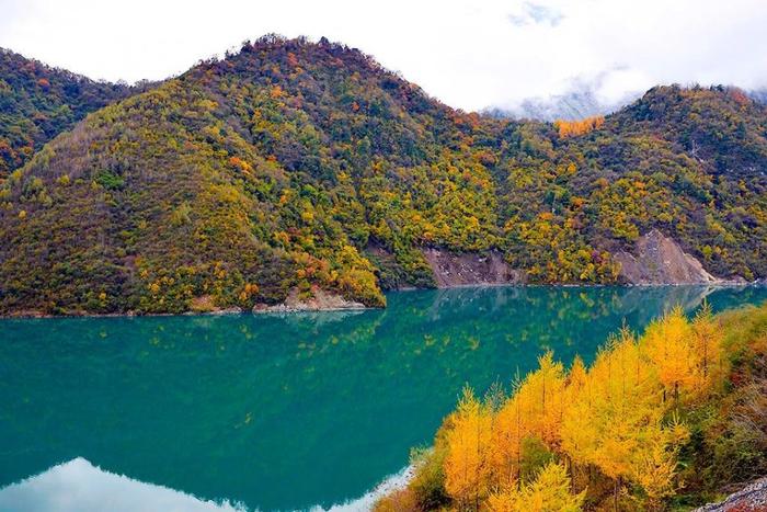 四川又一秘境小城，全国野生熊猫最多的地方，藏着多个低调仙境