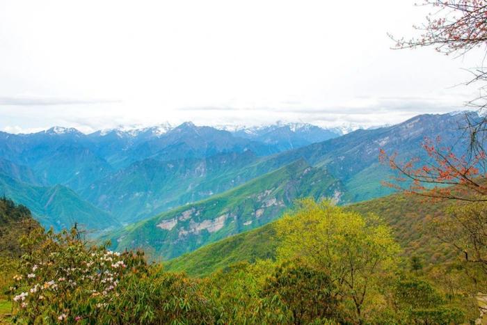 四川又一秘境小城，全国野生熊猫最多的地方，藏着多个低调仙境