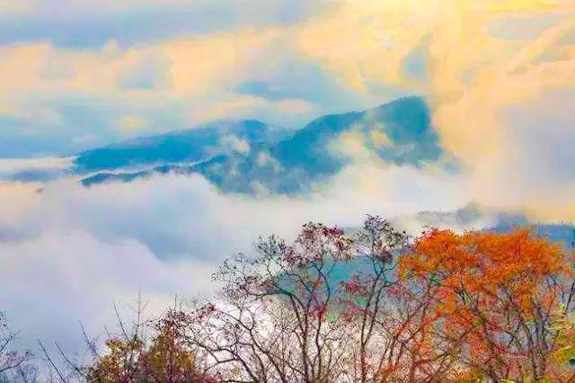 四川又一秘境小城，全国野生熊猫最多的地方，藏着多个低调仙境