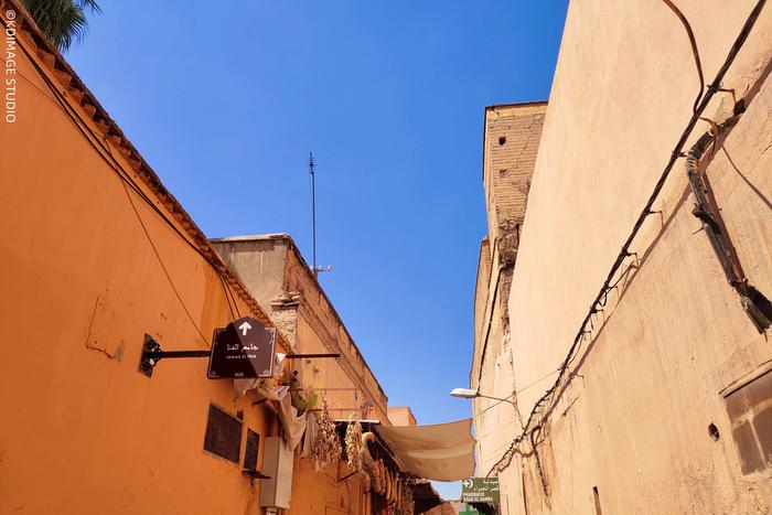 【VLOG】行摄摩洛哥，法国YSL圣罗兰创始人在非洲的秘密花园