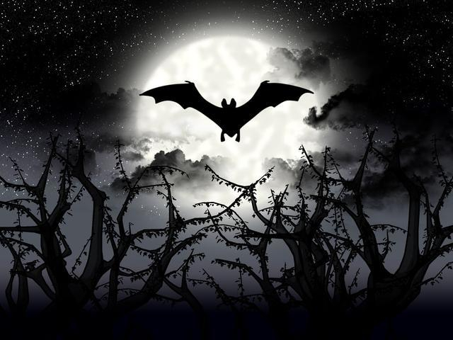 为什么人类的正常生活离不开蝙蝠？科学家：答案出乎意料