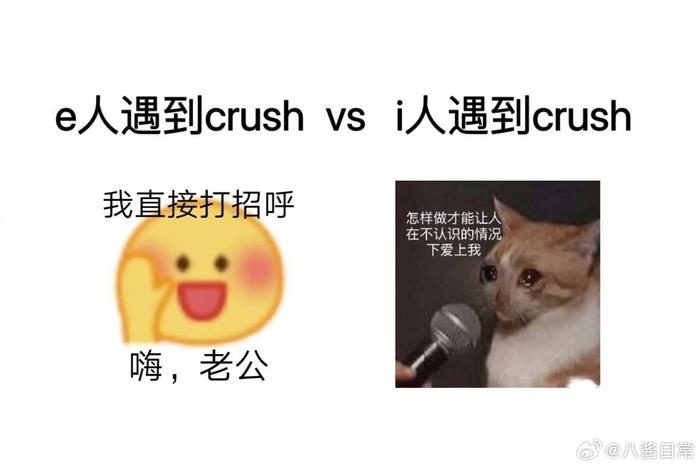 哈哈哈哈哈，i人e人真的差别这么大的嘛？