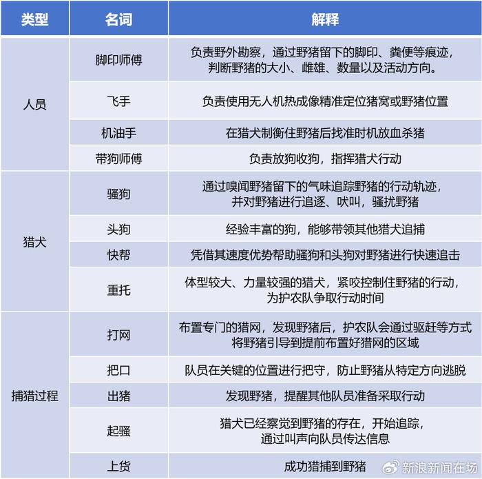 夺命野猪催生出一门新职业——护农队