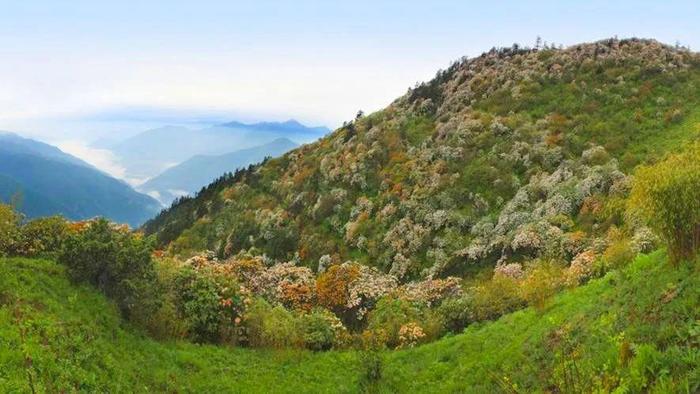 四川又一秘境小城，全国野生熊猫最多的地方，藏着多个低调仙境