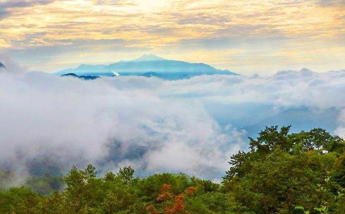 四川又一秘境小城，全国野生熊猫最多的地方，藏着多个低调仙境