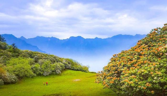 四川又一秘境小城，全国野生熊猫最多的地方，藏着多个低调仙境