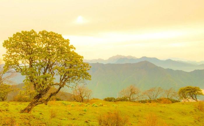 四川又一秘境小城，全国野生熊猫最多的地方，藏着多个低调仙境