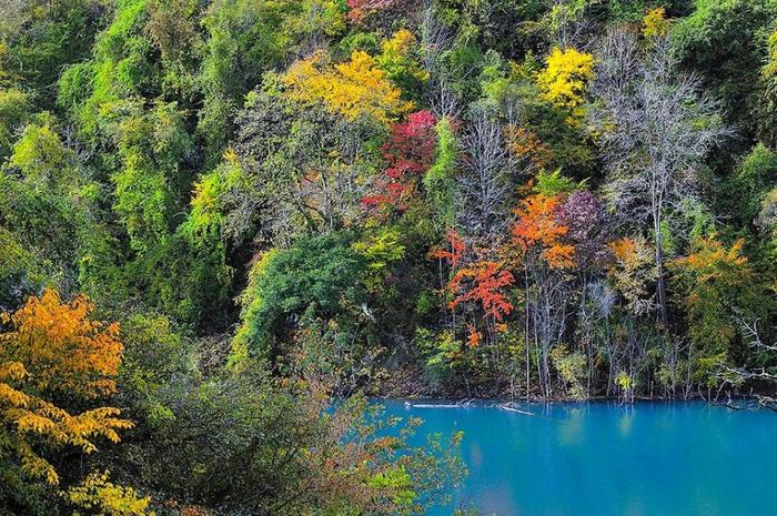 四川又一秘境小城，全国野生熊猫最多的地方，藏着多个低调仙境