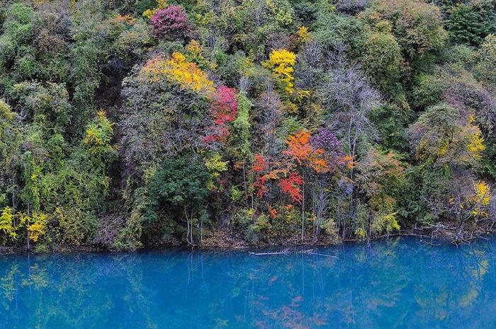 四川又一秘境小城，全国野生熊猫最多的地方，藏着多个低调仙境