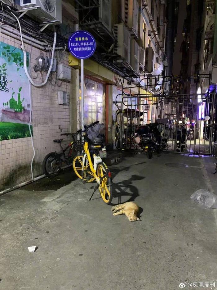 男孩被亲叔叔猥亵后，一个家族的集体沉默_https://www.izongheng.net_人物_第2张