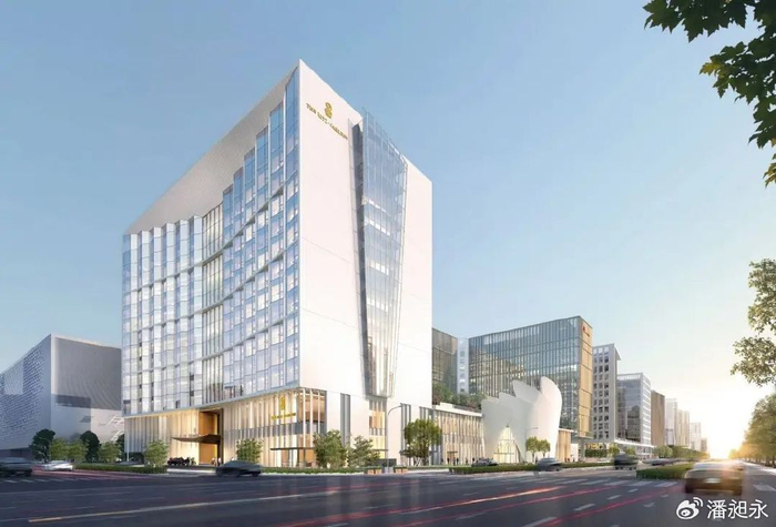 高端名媛指导获取全攻略：从入门到精通的社交进阶之路