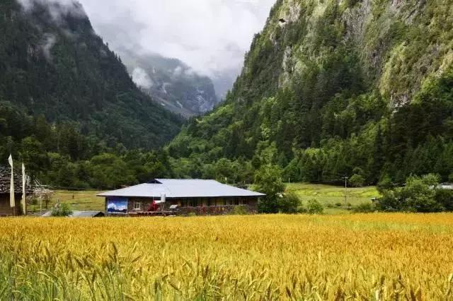 他们说绝世而独立的雨崩 是整个云南旅游之精华 你觉得呢？