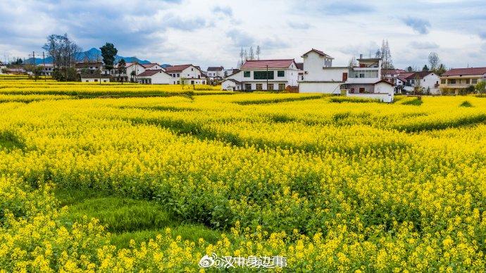 2024年略阳人口_2024年汉中略阳县特岗教师招聘考试成绩暨拟体检人员公示(2)