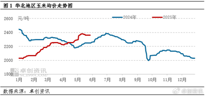 未来15天玉米价格走势 w700d1q75cms.jpg