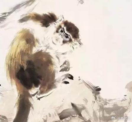 不轻言，好胜，一生马路上发展机遇许多，挣钱更多的五个十二生肖(图2)