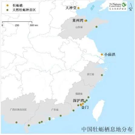 拯救牡蛎礁 | 中国天然牡蛎礁分布及现状