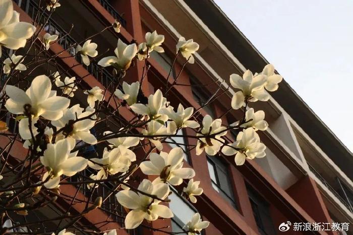 浙江省独立学院录取情况_浙江工商大学杭州商学院招生信息_中国经济管理大学分数