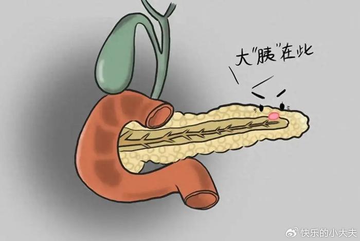 小心急性胰腺炎！医生提醒：9个症状不要忽视，严重可能危及生命 慢性胰腺炎 急性胰腺炎 胰腺炎 新浪新闻