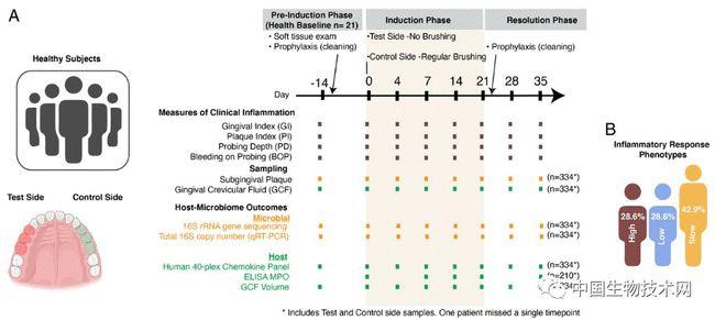 为什么你的牙疼得更严重？PNAS：人类牙龈炎症之间存在着巨大差异(图3)