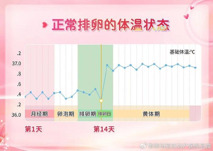 女性黄体功能不足，有这5种表现，快看自己中招了不