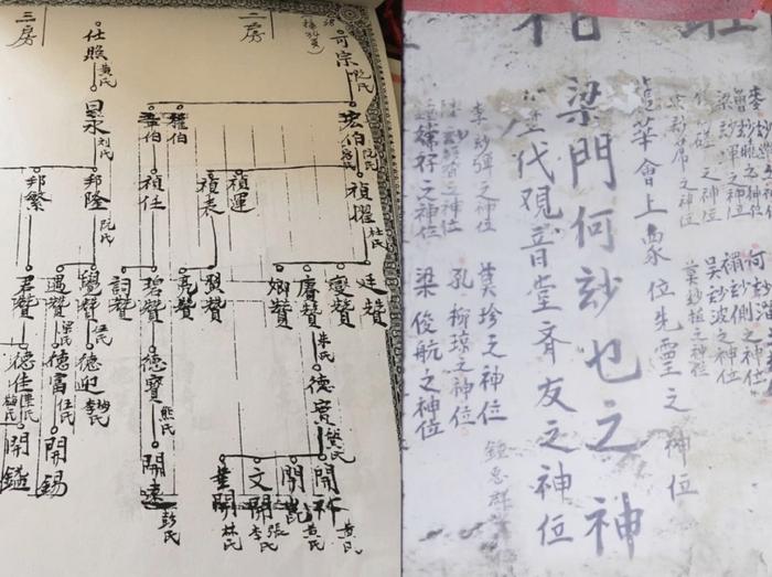 集资购房,共同生活:一群不婚女性的先锋实验