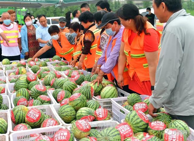 洛阳公益行：“城市有温度、鼎立有温情”爱心捐赠活动盛大开启