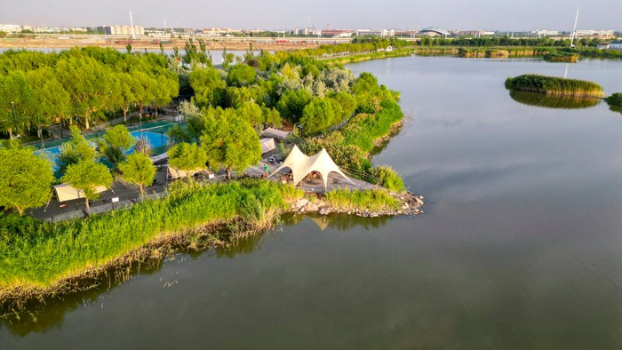 石嘴山在酒店里如何点小妹