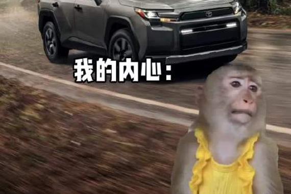 当我得知25款荣放改的这么帅，我的心情…..