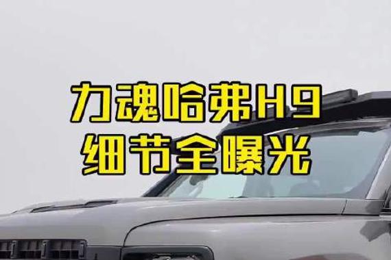 力魂哈弗H9细节全曝光 上市时间确定 力魂哈弗H9 （哈弗H9国际版）
