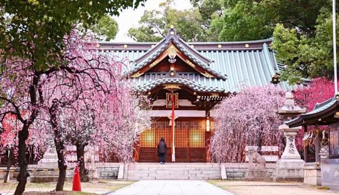 大阪近郊一日游行程推荐！天王寺10分钟直达：松原市自由行攻略