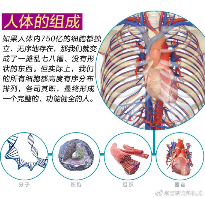 DK百科专场半价优惠：3-18岁孩子所学的各种知识，都在这里