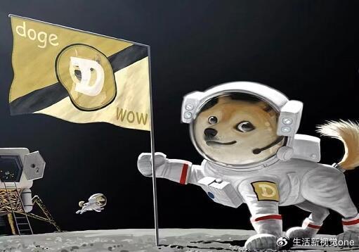 波动币是什么_如何在波动市场中有效交易狗狗币的技术分析_狗狗币和波场