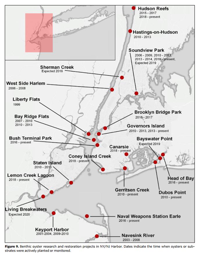 拯救牡蛎礁| 纽约港亿万富“蚝”牡蛎礁修复项目