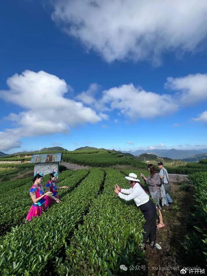 巽-在泰顺，日出的震撼与茶园的风水还有老板娘的厨艺