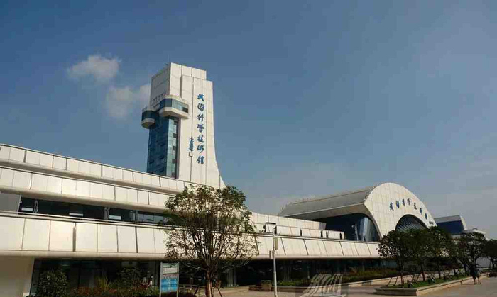 商业报道:江汉区饼子哪里好吃?实测推荐与避坑指南🔥