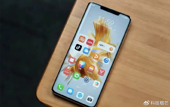 上过太空的种子就能长出大果实？为什么基因总往好的方...