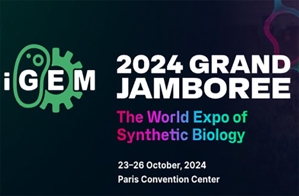 蓝正科技,蓝正科技有限公司