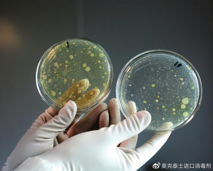 怎么生产银离子果蔬脆片检出菌落总数不合格原因是什么?如何预防? 食品微生物控制_新闻资讯_第2张_活检穿刺产品网 怎么生产银离子果蔬脆片检出菌落总数不合格原因是什么?如何预防? 食品微生物控制_https://www.jmylbn.com_新闻资讯_第2张