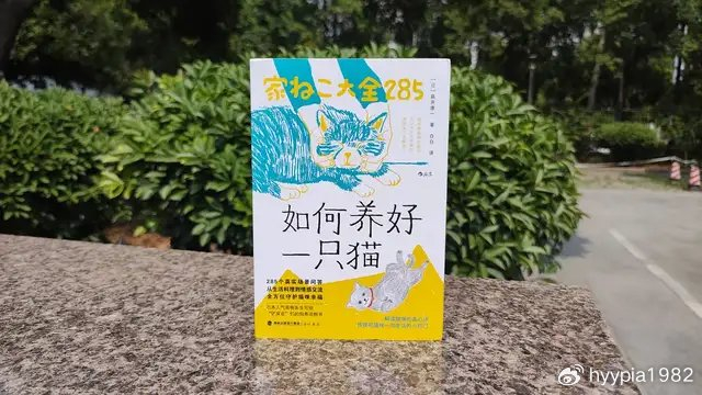 《如何养好一只猫》：“养猫小百科”解答各类铲屎官难题