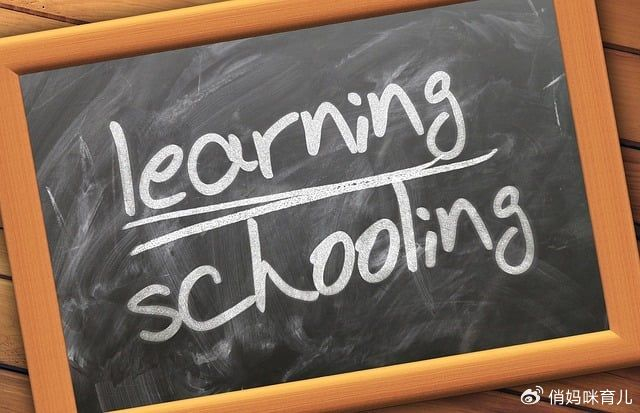 手机VS作业本：高中生自控力训练实战手册