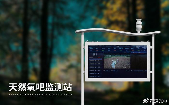 负氧离子监测网站的数据解读：从数字到健康信息
