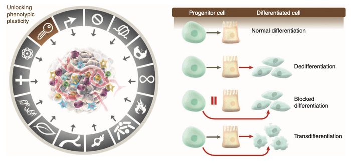 百瑞赢收评:科技股表现亮眼,节前不宜追涨