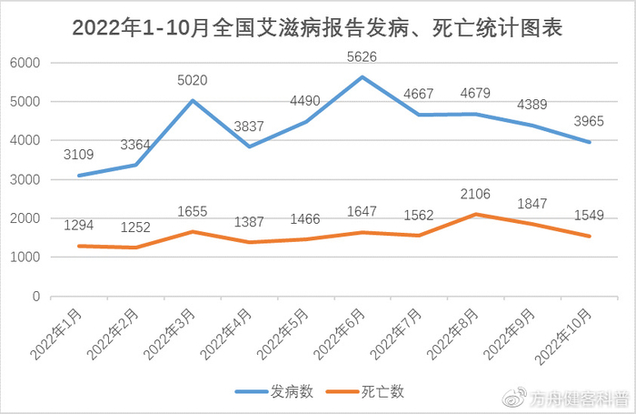 死亡五小阵容的轮转机制与体能分配策略