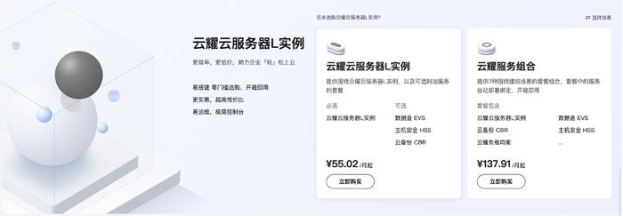 低价的云服务器_云耀云服务器L实例和云耀云服务器是什么关系？