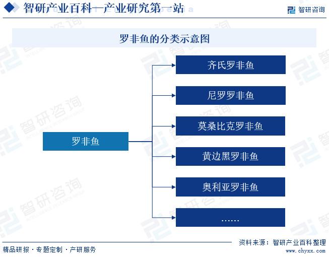 饲料企业运营模式,饲料企业排名前十名
