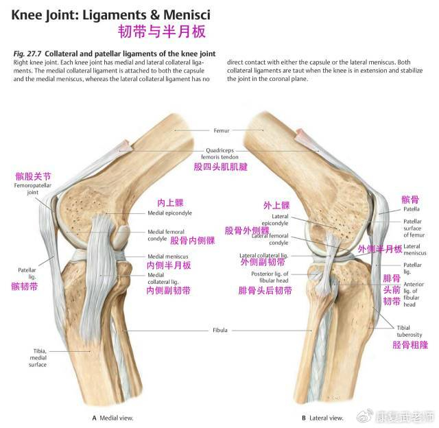 在选择机器人关节模组时,国内哪个品牌值得推荐?